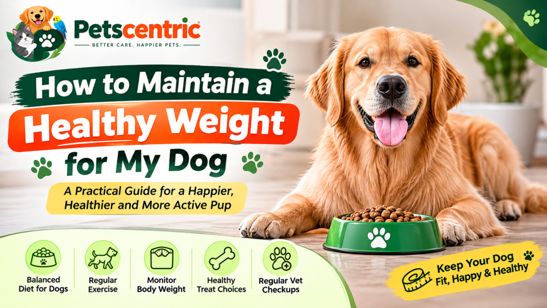 Healthy weight for my dog guide with Petscentric